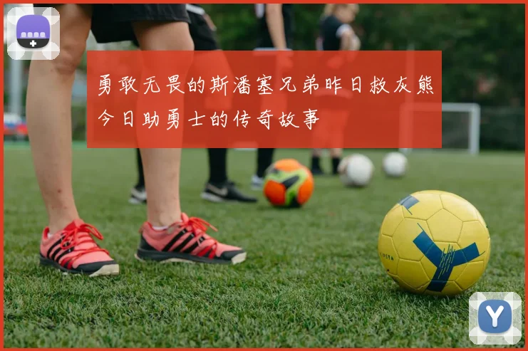 勇敢无畏的斯潘塞兄弟昨日救灰熊今日助勇士的传奇故事