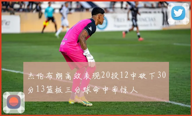 杰伦布朗高效表现20投12中砍下30分13篮板三分球命中率惊人