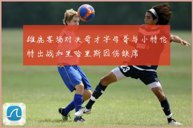 雄鹿客场对决奇才字母哥与小特伦特出战加里哈里斯因伤缺席