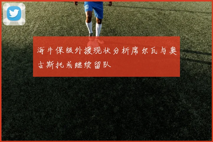 海牛保级外援现状分析席尔瓦与奥古斯托或继续留队