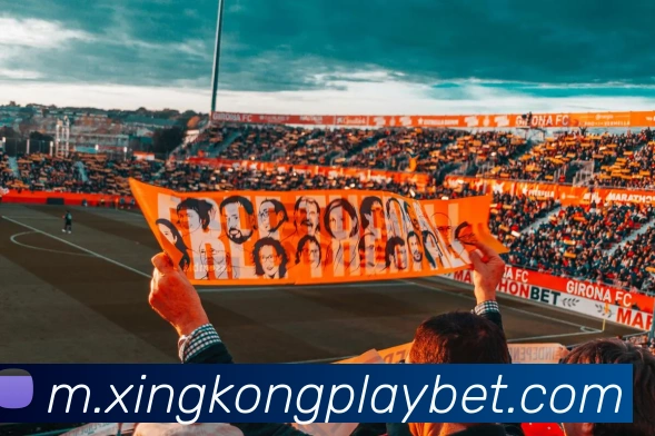 星空体育平台生态图