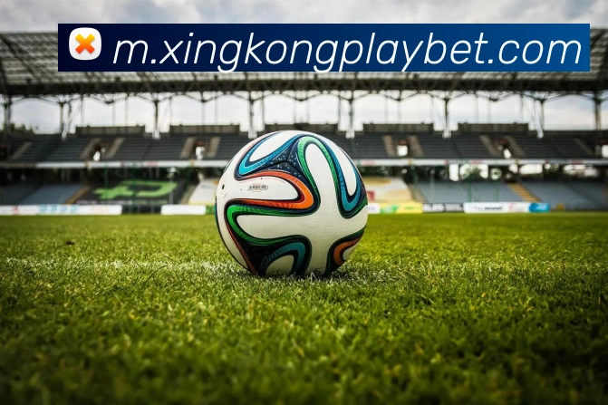 星空体育APP 封面图